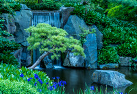 Seisui-Tei  Japanese Garden of Pure Water